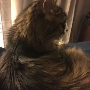 Meet your Posher, Kent